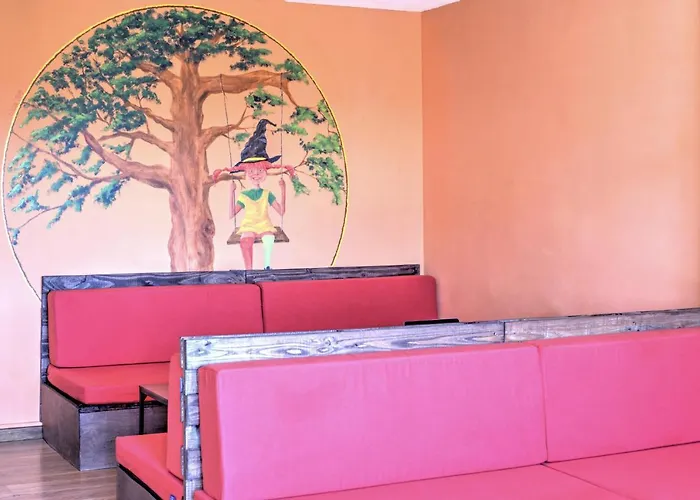 Haustierfreundliches Hotel: Meiga Backpackers Hostel