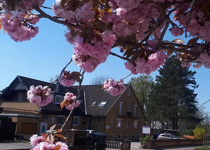 3-Sterne-Hotel: Pension Haus Erika