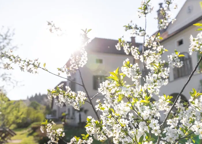 Schlossgut Gundersdorf