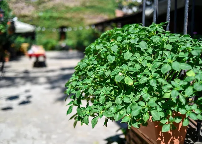 4-Sterne-Hotel: Tiflis Hotel