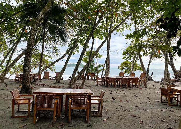 Arenas Del Mar Beachfront & Rainforest Member Of The Cayuga Collection