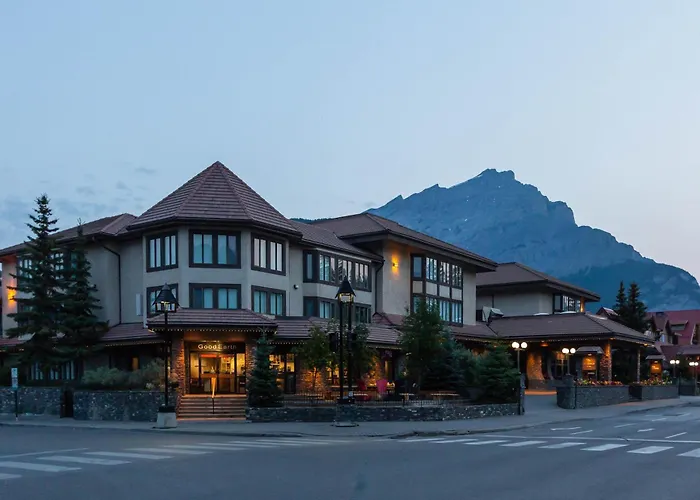 Haustierfreundliches Hotel: Elk + Avenue Hotel