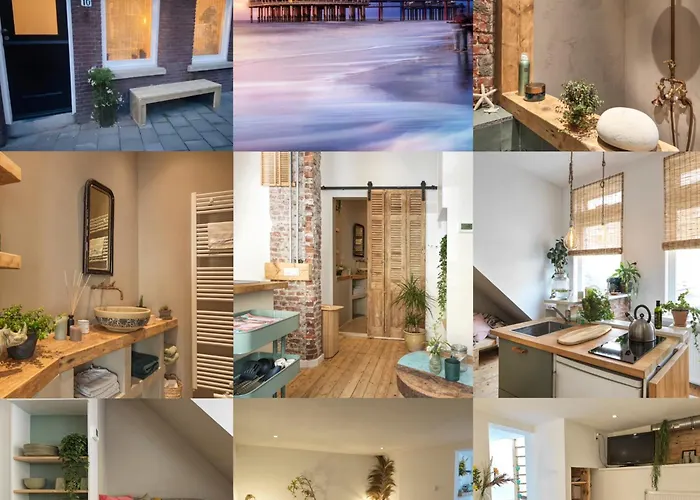 Haustierfreundliches Hotel: Tiny Beachhouse