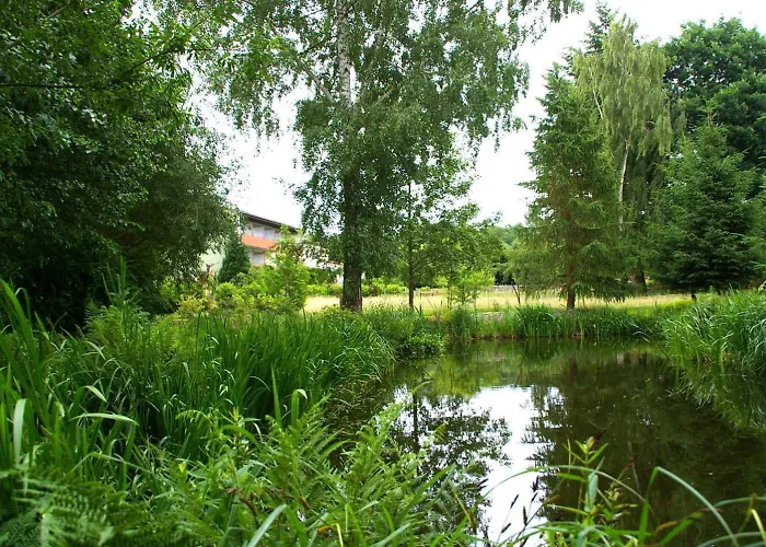 3-Sterne-Hotel: Hotel Schleifmühle