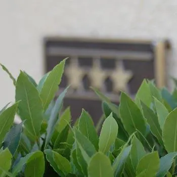 3-Sterne-Hotel: Akzent Hotel Residence Bautzen