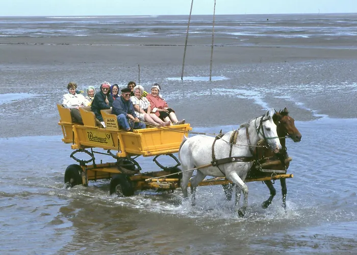 3-Sterne-Hotel: Hotel Wehrburg