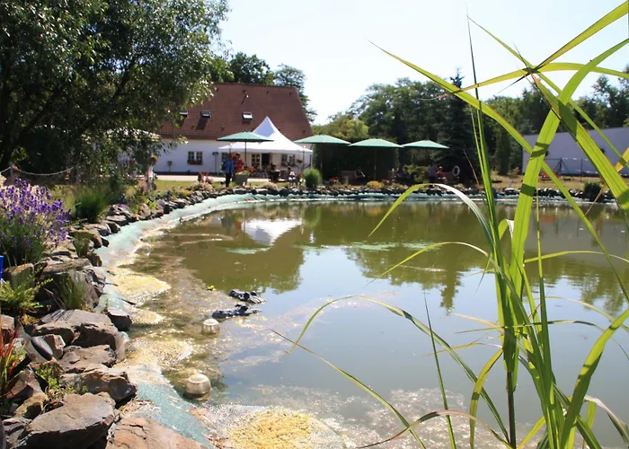 Familienhotel: Hotel-Pension Am Mühlberg