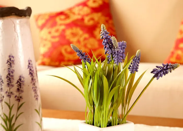 3-Sterne-Hotel: Thermalhotel Gass