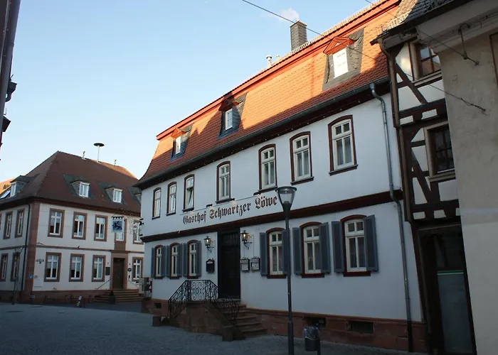 Hotel Schwartzer Löwe