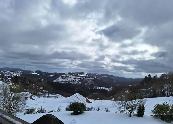 Haustierfreundliches Hotel: Haus Schneekappe (Winterberg)