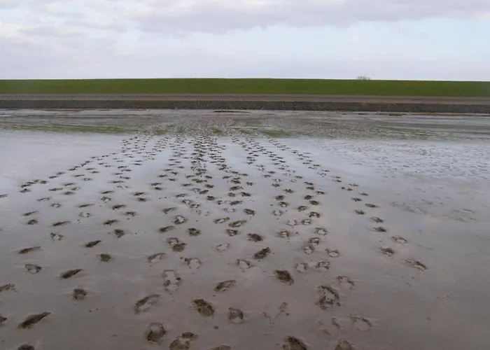 Ferienwohnung Haus Antje