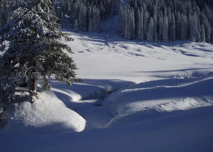 3-Sterne-Hotel: Hotel Des Alpes