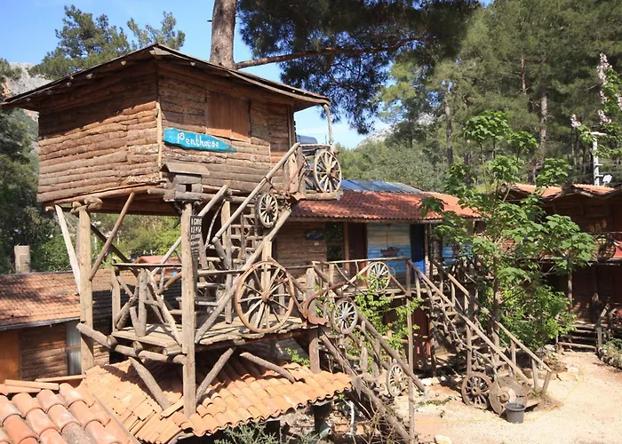 Haustierfreundliches Hotel: Kadir'S Top Tree Houses