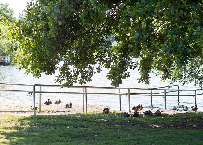 Haustierfreundliches Hotel: Stockholm Aengby Camping