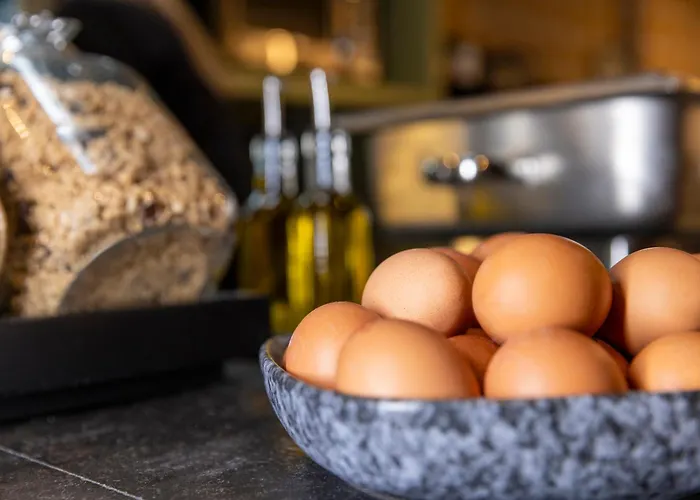 Budget Hotel Tourist Inn