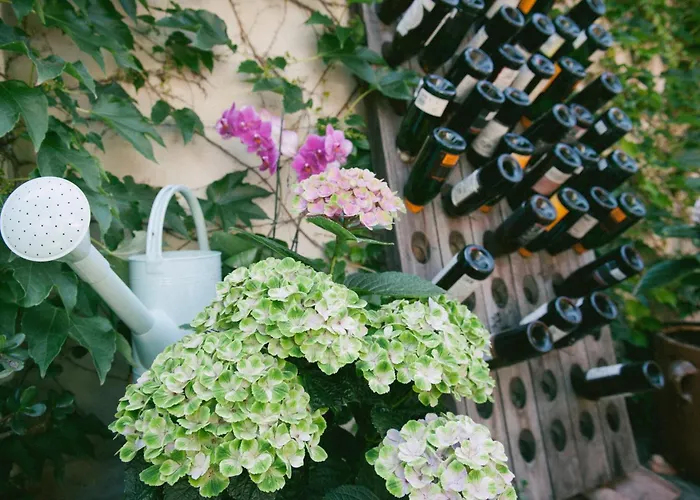 Hotel Pension St Nikolai