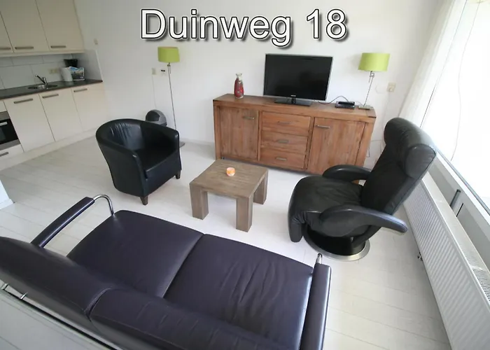 Haustierfreundliches Hotel: Appartementen Zuiderstrand H