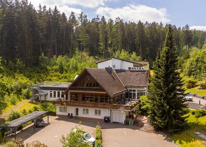 3-Sterne-Hotel: Waldhotel Ehrental