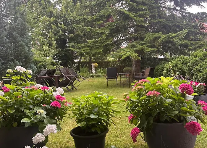 Arena Stadt München