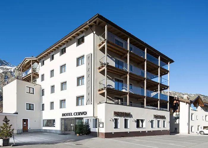  Cervo