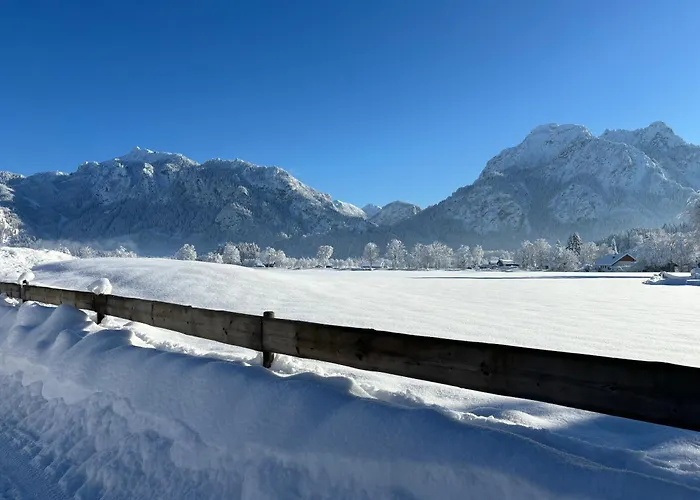 Ping Pong Hotel: Jägerhof und Jägerstadel