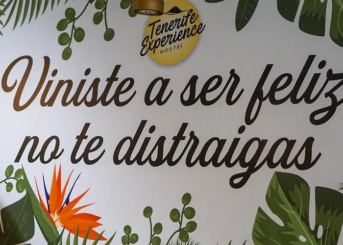 Gästehaus: Tenerife Experience Hostel