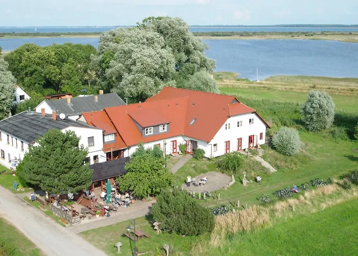 Enddorn Hiddensee