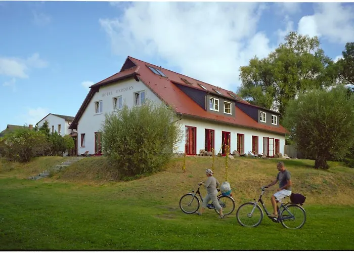 Enddorn Hiddensee
