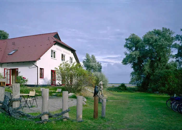 Enddorn Hiddensee