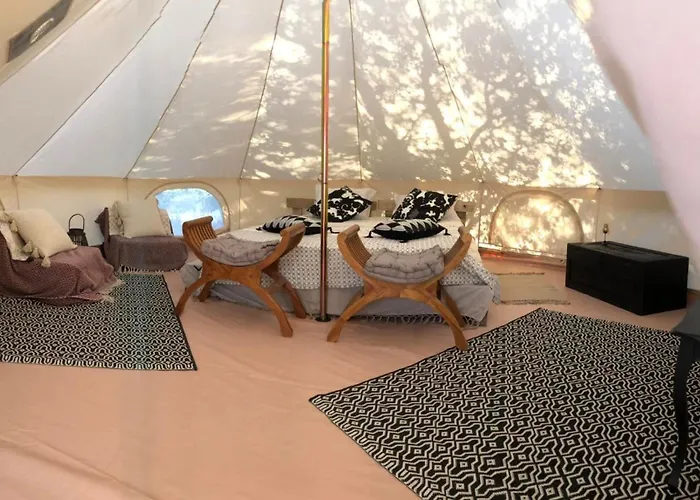 Domaine De La Violette