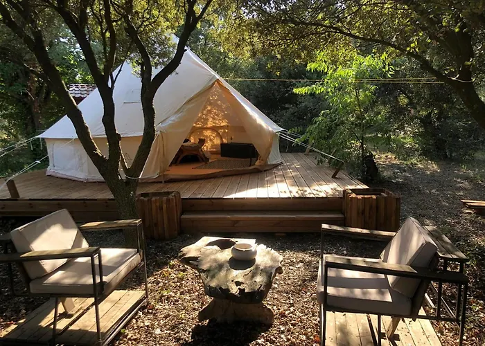 Domaine De La Violette