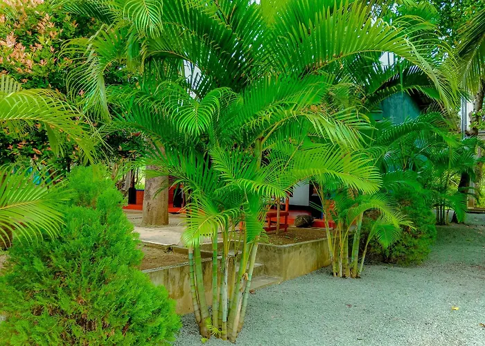 Pride Rock Villa & Tree House