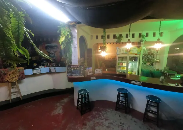  Moov Inn Garden