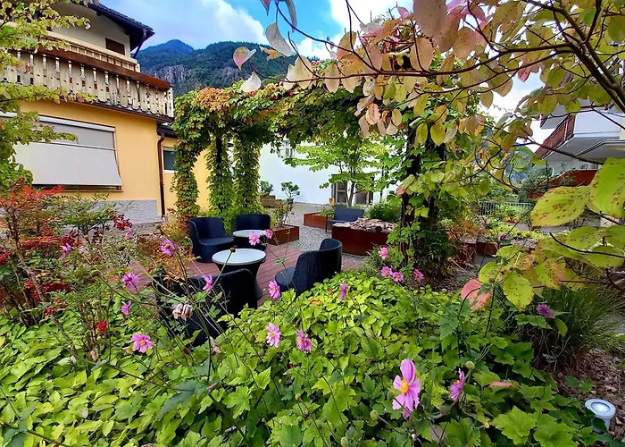  Garni Grüner Baum (Albero Verde)