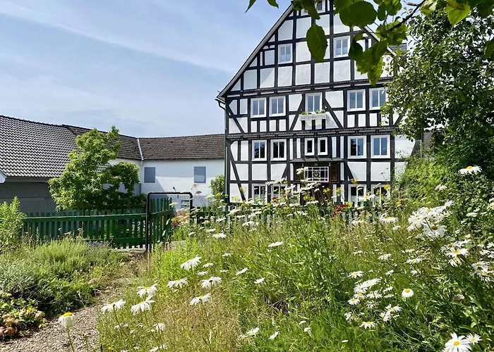 3-Sterne-Hotel: Hof Hallenberg