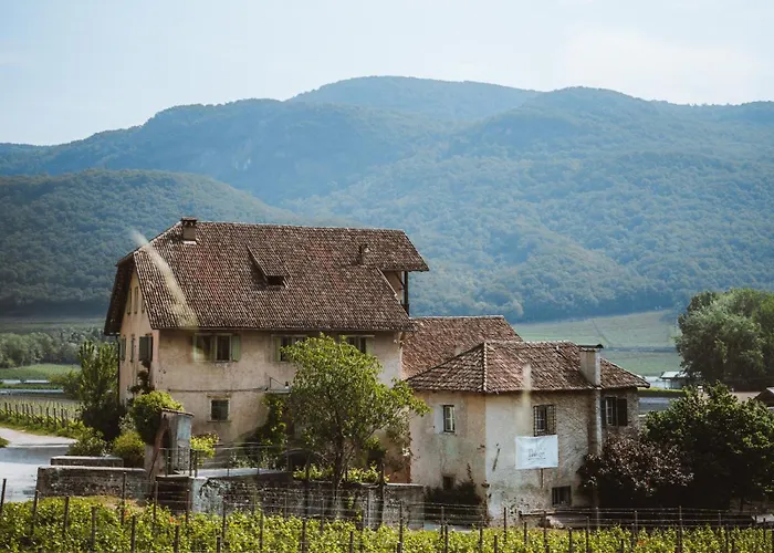 Weinbergsuite Panholzer