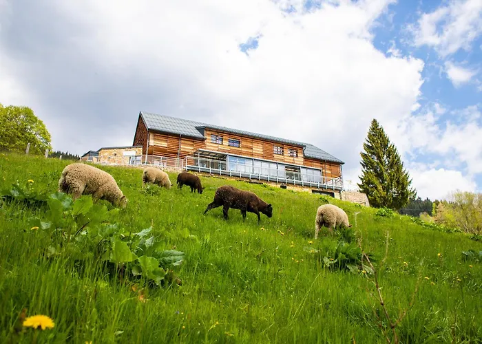 Amenity Hotel & Resort Spindleruv Mlyn