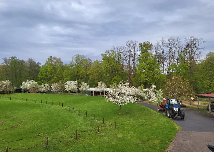 Familienhotel: Reiterhof Kutzeburger Muehle