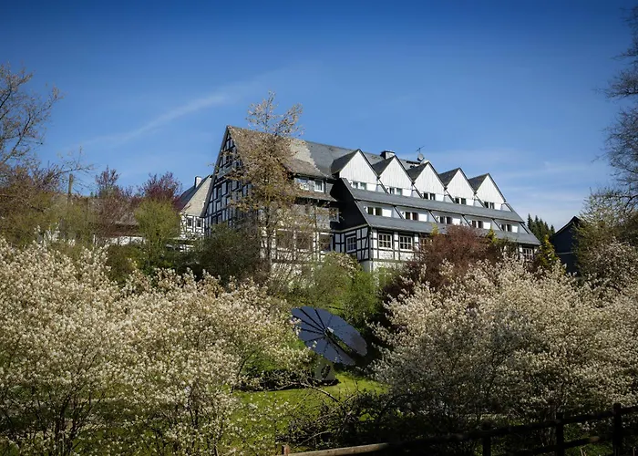 3-Sterne-Hotel: Hotel&Gasthof Hubertushöhe - Ihr Hotel für Urlaub mit Hund