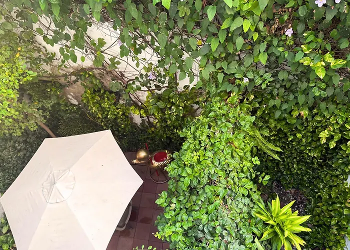 Casa Bugambilia - Alma s