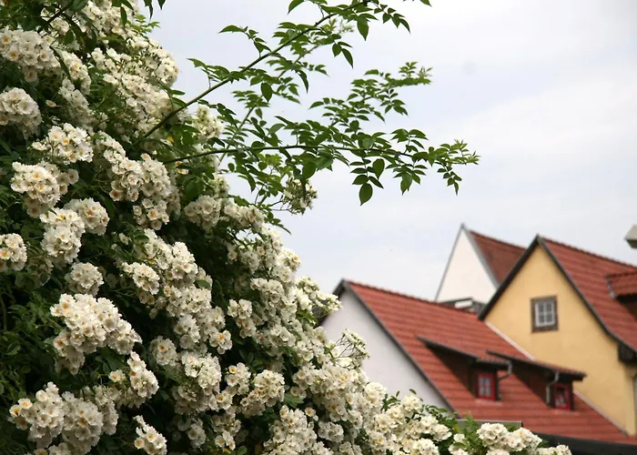 3-Sterne-Hotel: Pension Am Dom