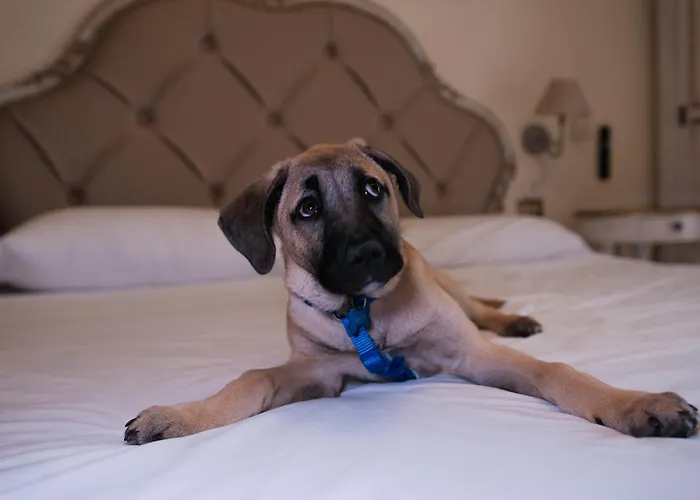 3-Sterne-Hotel: Hotel Tahiti