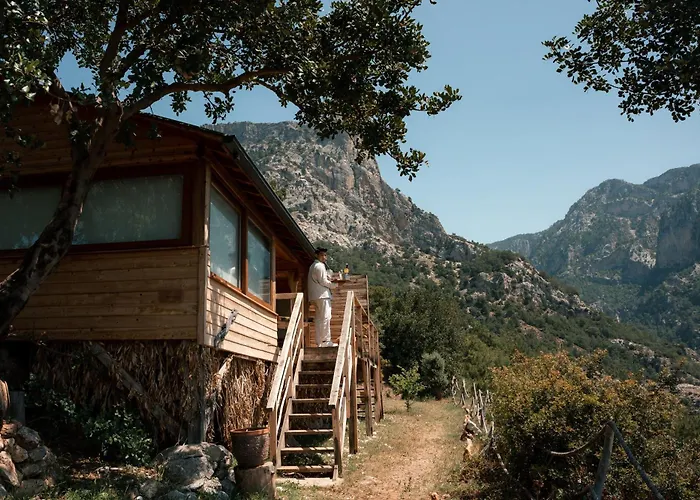 Zentrales Hotel: Olive Garden Kabak