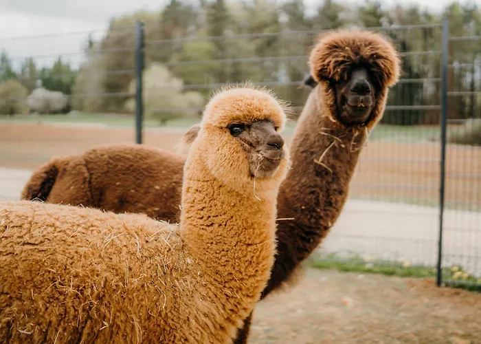 Familienhotel Friedrichshof