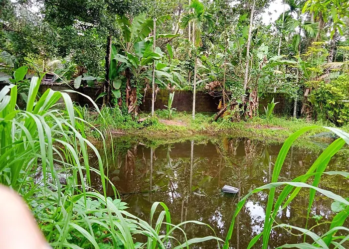 Villa De Amore