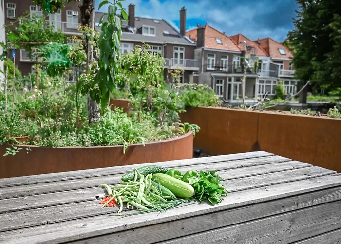 3 SterneHotel Court Garden