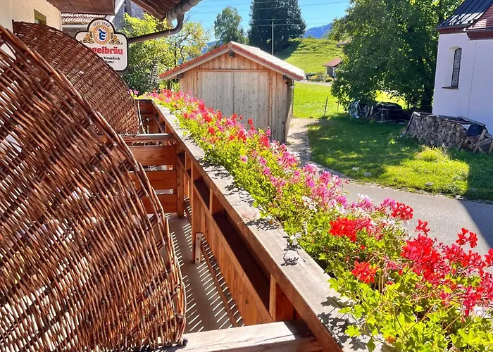 Goldiger Hirsch B&B mit Kochmöglichkeiten