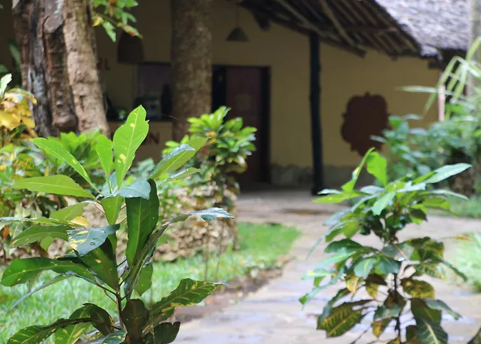 Haustierfreundliches Hotel: Eleven Pearl Boutique Hotel & Spa