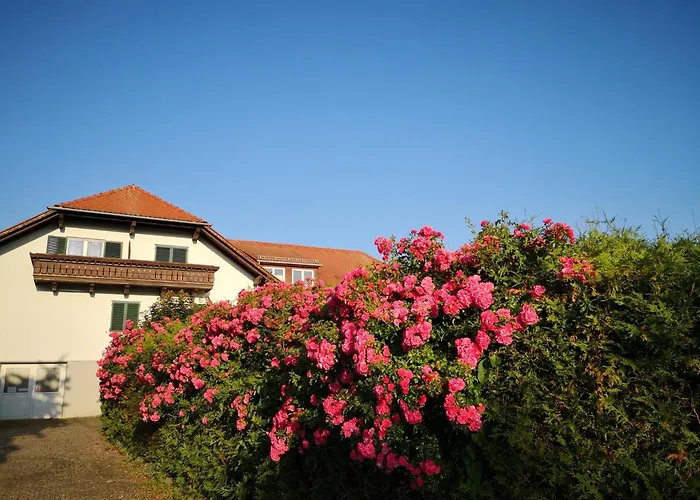 Zentrales Hotel: Goldener Hahn Apartments