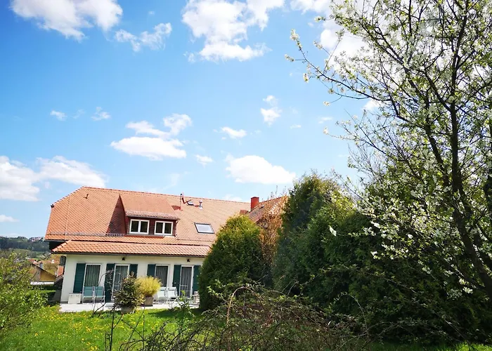 Zentrales Hotel: Goldener Hahn Apartments